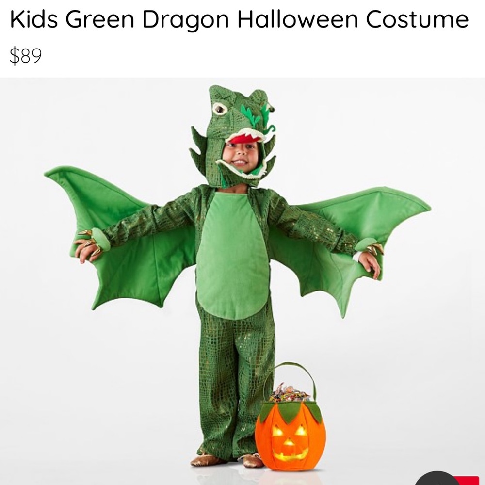 Pottery Barn Kids Green Dragon costume